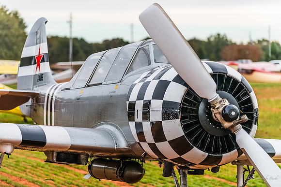 Veterans Day at Peachstate Airport