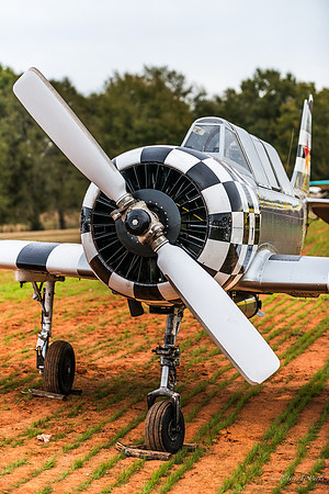Veterans Day at Peachstate Airport