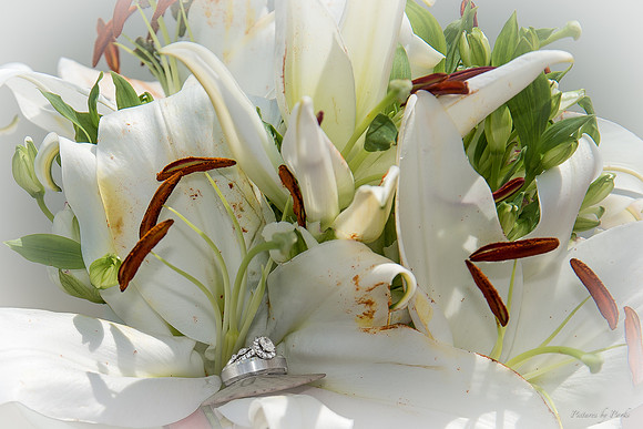 Mary Parks & Kurt Cox Wedding at Tybee Island