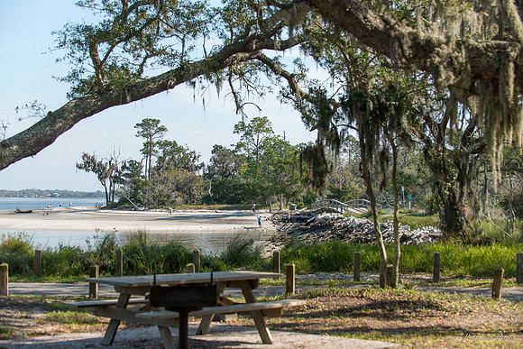 Jekyll, St Simons, Harris Neck