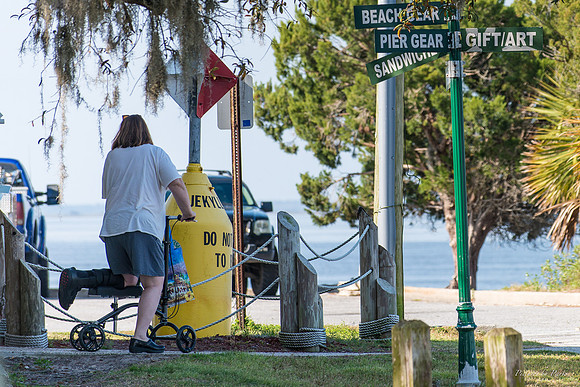 Jekyll, St Simons, Harris Neck