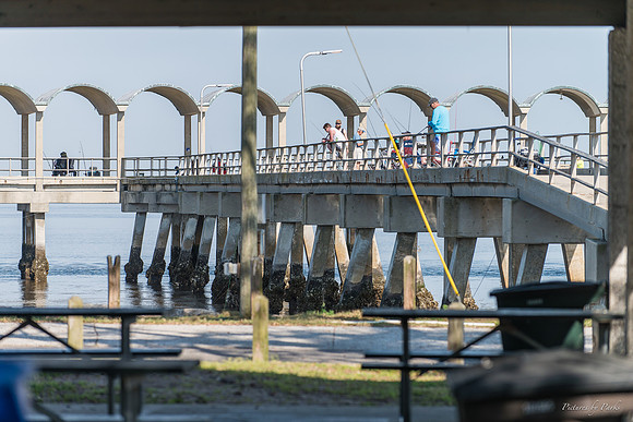 Jekyll, St Simons, Harris Neck