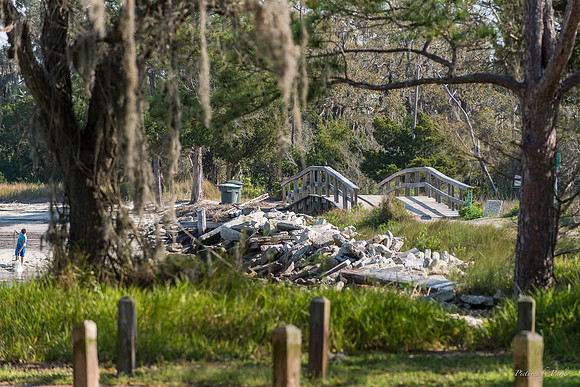 Jekyll, St Simons, Harris Neck