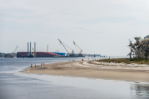 Jekyll, St Simons, Harris Neck