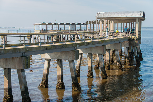 Jekyll, St Simons, Harris Neck