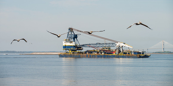 Jekyll, St Simons, Harris Neck