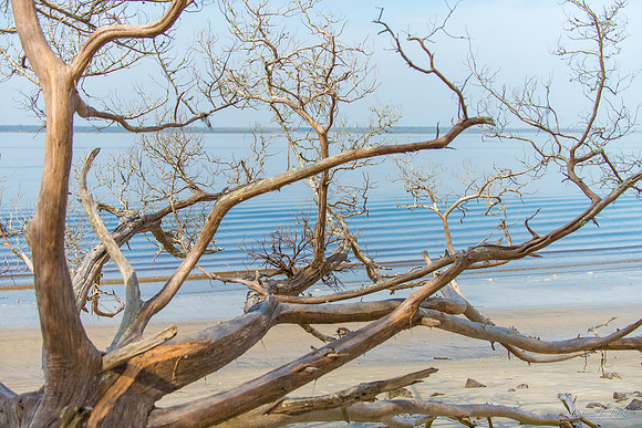 Jekyll, St Simons, Harris Neck