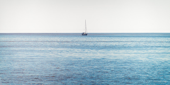 Jekyll, St Simons, Harris Neck