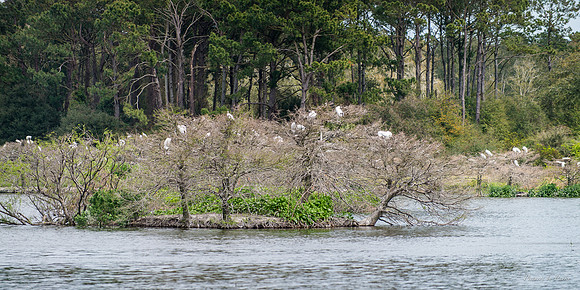 Jekyll, St Simons, Harris Neck