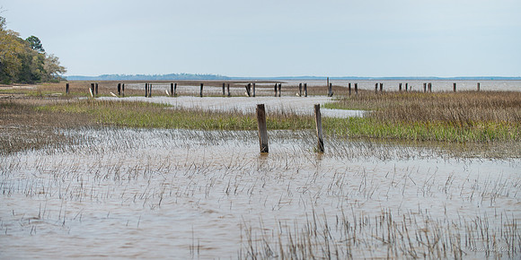 Jekyll, St Simons, Harris Neck