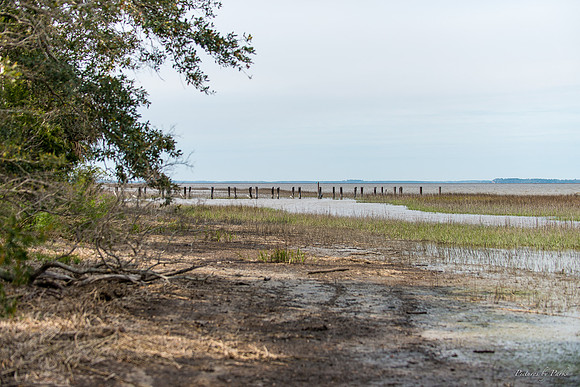Jekyll, St Simons, Harris Neck