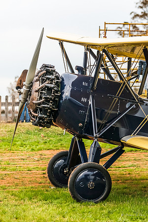 Veterans Day at Peachstate Airport
