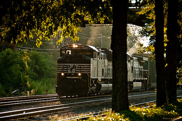 6th St Bridge & Train 081511