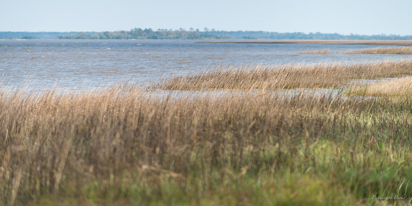 Jekyll, St Simons, Harris Neck