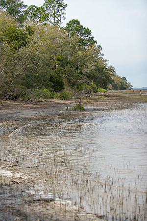 Jekyll, St Simons, Harris Neck