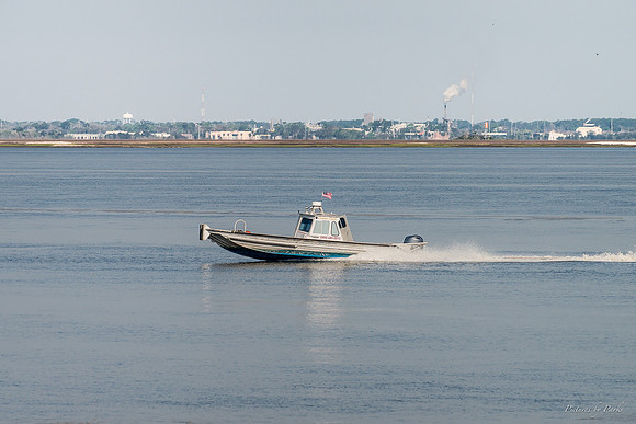 Jekyll, St Simons, Harris Neck