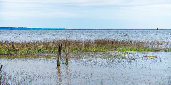 Jekyll, St Simons, Harris Neck