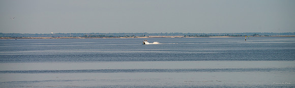 Jekyll, St Simons, Harris Neck