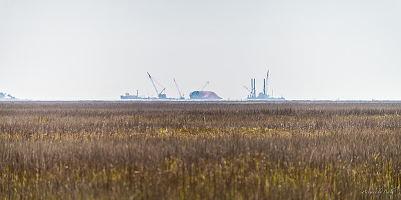 Jekyll, St Simons, Harris Neck