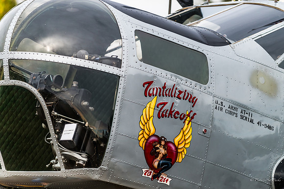 Veterans Day at Peachstate Airport