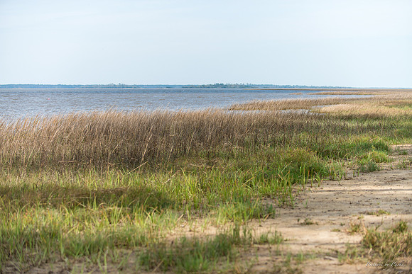 Jekyll, St Simons, Harris Neck