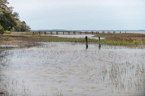 Jekyll, St Simons, Harris Neck