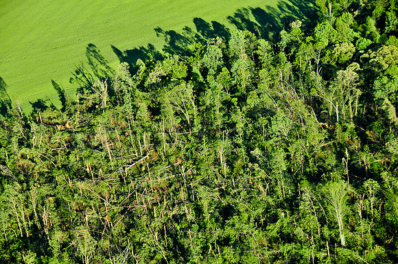 42811 Tornado Damage, Sunnyside & Lamar County