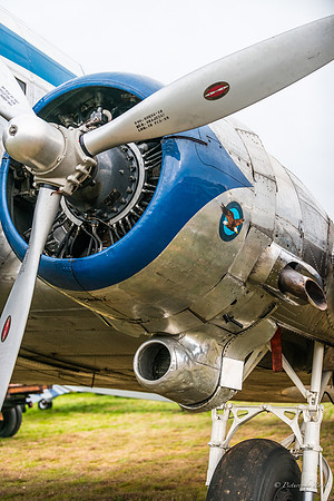 Veterans Day at Peachstate Airport