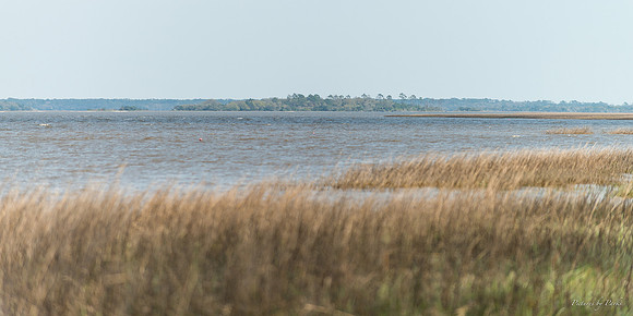 Jekyll, St Simons, Harris Neck