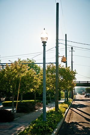 6th St Bridge & Train 081511