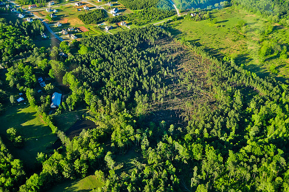 42811 Tornado Damage, Sunnyside & Lamar County