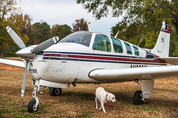 Veterans Day at Peachstate Airport